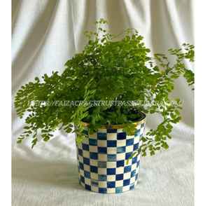 Maceta con incrustaciones de hueso hecha a mano, el mejor jarrón de mesa para decoración para sala de estar, maceta costera barata al por mayor para bodas - Product Image 2