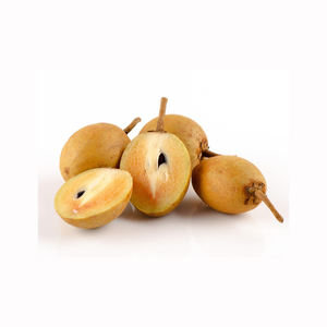 Distributeur en gros de fruits tropicaux frais de qualité supérieure, jus de chikoo, sapote, saveur naturelle sucrée, qualité d'exportation - Product Image 6