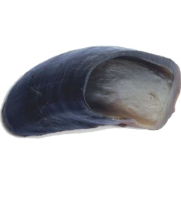 Sabots de vache naturels pour chiens Friandises à mâcher de qualité supérieure pour des dents et des gencives saines - Product Image 3