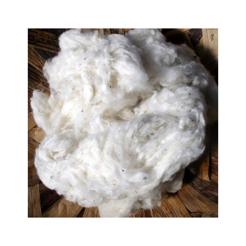 High quality raw cotton fiber for sale at wholesale price