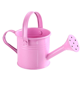 Arrosoir pour plantes en métal fini unique Fournitures de jardin Arrosage et irrigation Arrosoir pour plantes en métal Exportateur en gros - Product Image 2