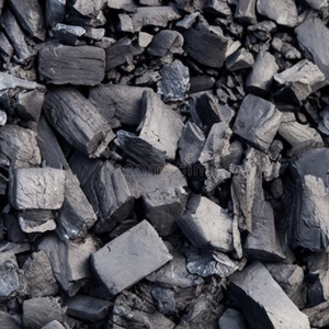 Briquettes de charbon de bois de tamarin en bois dur avec une longue durée de combustion et une forte production de chaleur - Product Image 5