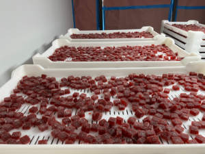 TGMachine2024 machine de dépôt de bonbons gommeux entièrement automatique avec ce ligne de production de vitamines d'ours gommeux nouvellement conçue - Product Image 4