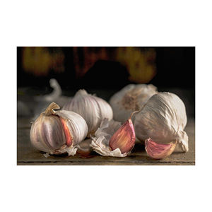 Ajo Deshidratado 100% Orgánico, Picado, de Grado Alimenticio, para Uso en Cocina, Bélgica, 12 Meses de Duración, Marca Personalizada, Precios Bajos, Superventas - Product Image 1