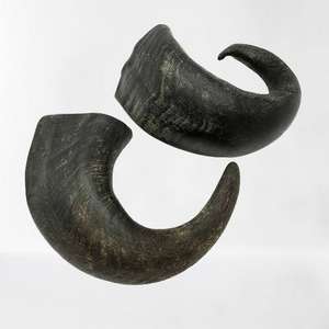 Nourriture pour animaux de compagnie eau séchée véritable corne de buffle chien à mâcher dégustation de boeuf riche en protéines durable friandises faites à la main artisanat naturel pour chiens - Product Image 1