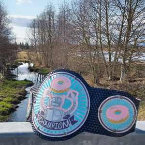 Cinturón de Campeonato Profesional de Alta Calidad, Personalizado, Grabado en Metal, Ligero, con Logotipo Personalizado, para Premios y Competiciones - Product Image 4