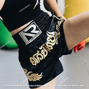 Shorts de boxe de sport Muay Thai Shorts rétro classiques coupe mince MMA Kickboxing ensemble d'entraînement Cage d'entraînement Shorts de combat - Product Image 2