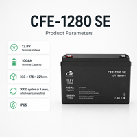 Batterie LiFePO4 LFP CFE-2560 SE 25,6V 100Ah avec BMS IP65, 3000 cycles, pour onduleur Sungrow, systèmes solaires hors réseau