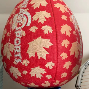 Nouveau ballon de rebond de rugby balles de fitness et d'entraînement de qualité supérieure Champ King - Product Image 1