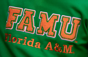 Sudadera con Capucha Unisex Personalizada de la Universidad FAMU Florida A&M, Estilo Vintage de Invierno, Mezcla de Algodón de Primera Calidad para Hombre - Product Image 2