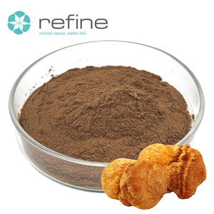 Prix de gros usine 10%~50% Polysaccharides Extrait de champignon Crinière de <span class=keywords><strong>lion</strong></span> biologique en poudre - Product Image 1