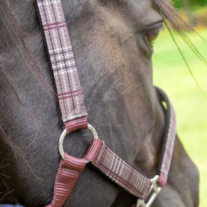 Collar protector para caballos, halter grueso para equitación, el mejor fabricante de halteres para caballos de Alexandria Industries - Product Image 4