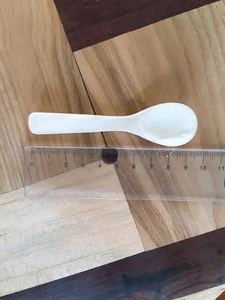 Hot Selling 2023 Customized logo White Exquisite Natural Mother of Pearl Shell Caviar Spoon for Fancy Dinner - Product Image 3