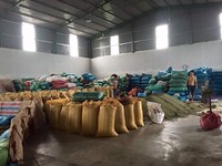Hele Groene Mung Bonen Van Viet Nam Exporteur Met De Goede Prijs En Premium Kwaliteit