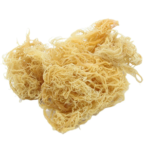 Mejora tu salud con musgo de mar seco/100% natural - Product Image 6