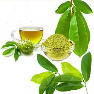 Offre spéciale thé au corossol séché vietnamien 100% thé au corossol pur et biologique, prix bon marché de l'usine - Product Image 2