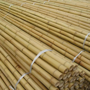 Bastones de bambú de decoración Vietnam-Bastones de bastón naturales crudos al por mayor para eventos al aire libre y proyectos de jardín-FBP1021 - Product Image 6