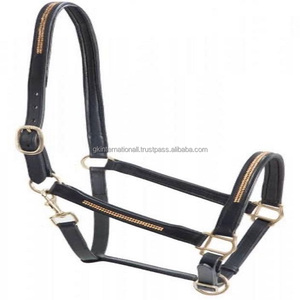 Licou en cuir rembourré noir doux et confortable avec chaîne bling de créateur incrustée licou de course pour cheval en pleine taille d'épi - Product Image 3