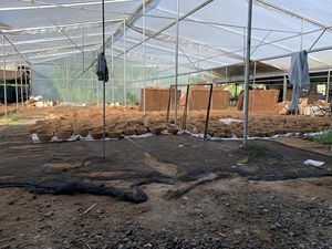 ดินน้ำมันมะพร้าวย่อยสลายได้เป็นมิตรต่อสิ่งแวดล้อม100% สำหรับตกแต่งบ้านกำแพงทำด้วยมือสไตล์โมเดิร์นสวนในร่ม - Product Image 4