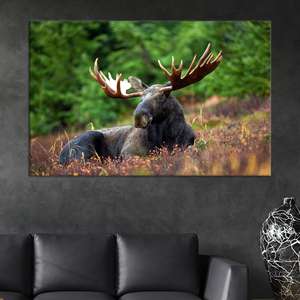 Arte de Pared en Lienzo con Diseño de Alce Rústico: Decoración para Cabaña, Lienzo Impreso, Lienzo Enrollado - Product Image 1