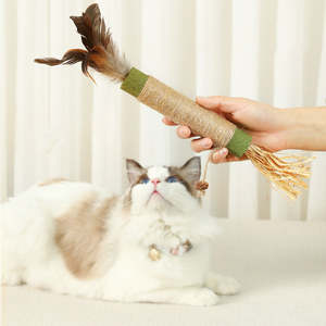 Palitos de Catnip y Silvervine Ecológicos para Gatos, Juguete Natural para Limpiar los Dientes, Palitos Gruesos de Matatabi Natural - Product Image 6