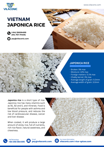 RIZ ARBORIO / RIZ À GRAINS RONDS POUR RISOTTO FOURNISSEUR - Pey - Product Image 5