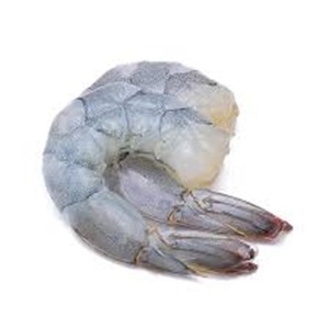 กุ้ง vannamei สดแช่แข็งหัวขาดในราคาที่เหมาะสม - Product Image 3