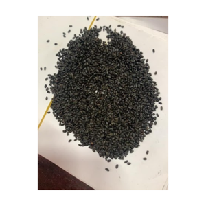 Semilla de albahaca, producto de la mejor calidad del exportador y fabricante de Vietnam - Product Image 5