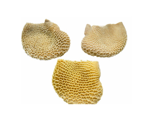 Tripa de Res Orgánica de Alta Calidad, Halal, Fresca, Sin Hueso, Congelada, Baja en Grasa, Empaque a Granel, Proceso BQF - Product Image 3