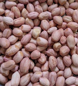 Cacahuetes de Java al por mayor, crudos, con y sin cáscara, 80-90 unidades, exportación a granel, sin OMG, de la India, con una vida útil de seis a doce meses - Product Image 2