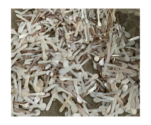 La mejor opción de cuchara de nácar de lujo, cuchara ecológica hecha a mano, concha marina natural 100% - Product Image 3