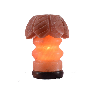 Services OEM 100% Lampe au sel naturel de l'Himalaya Lampe de table à grand corps en cristal Décoration intérieure contemporaine Électrique pour utilisation dans les chambres - Product Image 3