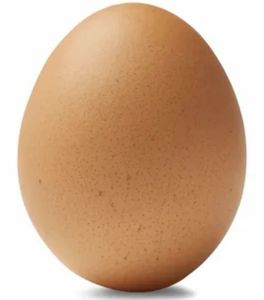 ไข่นกกระจอกเทศสดที่ได้รับการปฏิสนธิไข่ฟักขาวที่เก็บรักษาไว้และปรุงเพื่อใช้ในฟาร์มหรืออาหารสำหรับโต๊ะและฟาร์มไก่ - Product Image 2