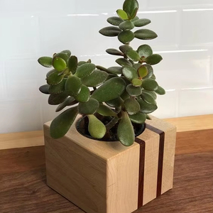 ARTESANÍA maceta de madera Wishing Well maceta decoración de jardín de patio trasero macetas de madera creativas macetas de flores de corteza jardín - Product Image 4