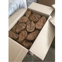 INDONÉSIE EXTRAIT DE PLANTE SOINS DE SANTÉ NOUVEAU PRODUIT DE HAUTE QUALITÉ VENDANT CATAPPA OU FEUILLES SÉCHÉES D'AMANDES INDIENNES