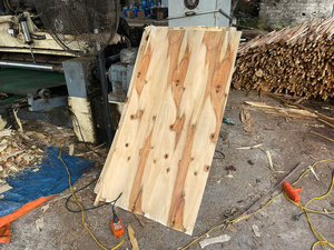 Fournisseur de placage de noyau d'acacia du Vietnam meilleur prix pour les usines indiennes de contreplaqué HCPLY LUCYPLYWOOD fournisseur du Vietnam - Product Image 2