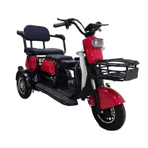 Economic Factory Wholesale Cheap LED Digital 3 Wheeler Shock Absorber Price Tilt Bike Electric Tricycle For Sell