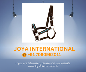 Bling Aqua & Cuir Marron Cheval Halter Ensemble Complet de Haute Qualité Tack Équestre Élégant et Durable - Product Image 2