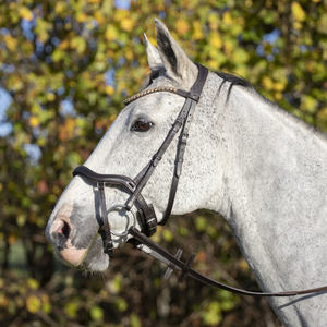 Diadema de Carreras de Caballos en inglés de buena calidad de India Brida Pescara Curved a precio asequible - Product Image 3