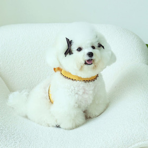 Imbracatura per cani con dettagli floreali, collare per gatti, collare per cani, accessori per cani, Koreanpetclothes, Kpet, vestiti da sposa per cani