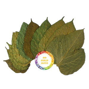 ใบสตรอเบอรี่ออร์แกนิกผลิตภัณฑ์จากเวียดนาม - Product Image 1