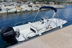 Bateau de pêche en eau salée en aluminium BostonWhaler 170 Montauk 17m de 2014 d'occasion, bateau de travail de luxe, moteur hors-bord essence 100cv, 3 pales + remorque - Product Image 6