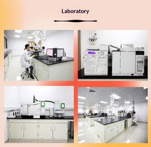 <b>Plastic</b> Modification Component Detection Analysis Formula Restoration Performance Optimization Improvement Components for - Product Image 4