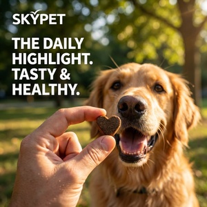 Suplemento recomendado por veterinarios <span class=keywords><strong>para</strong></span> la piel y el pelaje del perro, <span class=keywords><strong>para</strong></span> alivio <span class=keywords><strong>de</strong></span> alergias, apoyo <span class=keywords><strong>para</strong></span> un pelaje brillante, Omega 3 6 9, masticables suaves, fabricante OEM a granel - Product Image 2