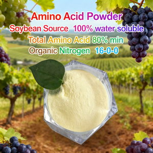 Engrais liquide aux acides aminés, concentré à 50%, pour fruits et légumes, stimulateur de croissance des plantes biologique - Product Image 2