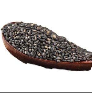 เมล็ดฝ้ายดิบสำหรับการส่งออกผู้จัดจำหน่ายเมล็ดฝ้ายออร์แกนิกขายส่ง - Product Image 2