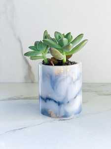 กระถางดอกไม้ - Product Image 6