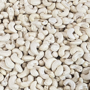 เม็ดมะม่วงหิมพานต์คุณภาพสูงมาตรฐาน ISO แบบดิบแห้ง เกรด W240 แหล่งผลิตเวียดนาม ซานติโก อายุการเก็บรักษา 24 เดือน - Product Image 1