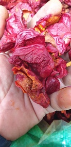 Dried Gac Fruit Meat 500gram 3 Pound <b>Vaccum</b> <b>Bag</b> Vietnamese Dried Gac Fruit Supplier Best Price - Product Image 2