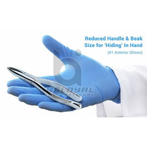 คีมถอนฟันสแตนเลสคีมถอนฟันส่วนหน้า - Product Image 6